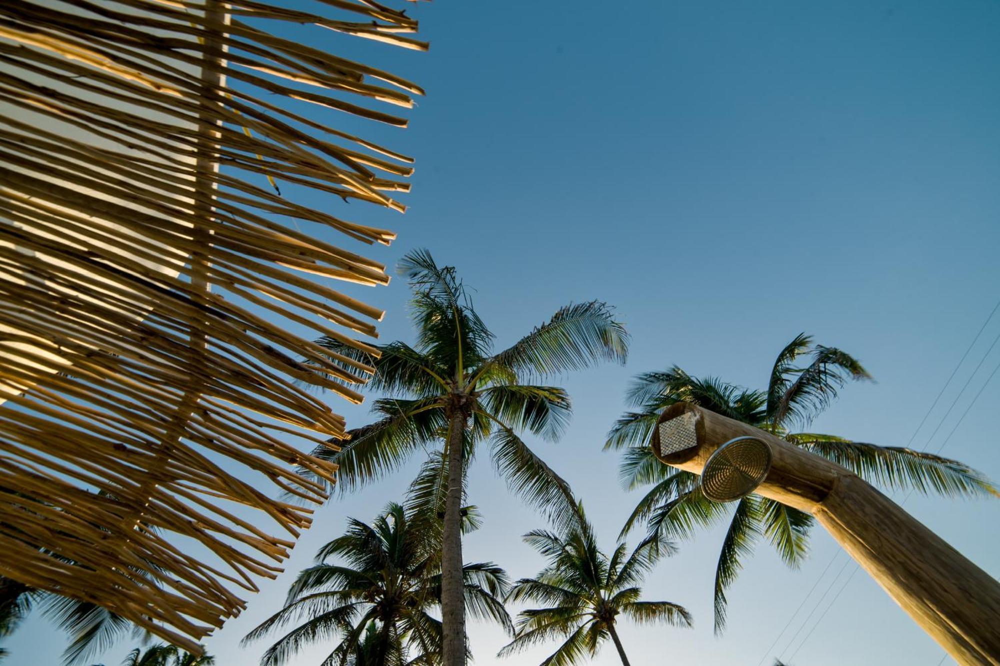 Ventovinte Beach Club フレシェイラス エクステリア 写真